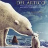 Online DVDTOTAL Los reyes del artico [DVD] [dvd] [2012]