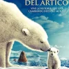 Los reyes del Ártico [DVD] [dvd] [2008]