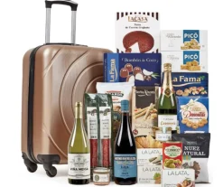Discount Ibéricos a Domicilio Gourmet Lote 50: Cesta de Navidad en Maleta Trolley con Charcutería Ibérica y Vinos Premium