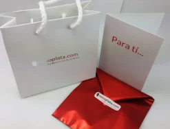 Marcapáginas De Plata Mejor Profe