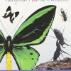 Mariposas Y Larvas E Insectos [DVD] [dvd] [2000]