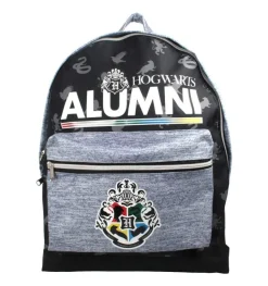 Mochila infantil Viajes de Harry Potter Alumni Hogwarts 40 X 31 X 11 cm.