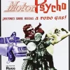 Motorpsycho (Russ Meyer) [DVD] [dvd] [2007]