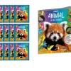 Best PANINI Mundo Animal de Mil Colores - Álbum vacío + 15 sobres