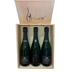 Hot Bodega Delavenne Pack 3 botellas Champagne Delavenne Original en Estuche de Madera