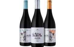 Best Algil Pack 6 botellas vino tinto de 75cl. "Conoce ": 2 Expresión + 2 Crianza+ 2 Garnacha