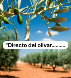Outlet Aceite Olhea Pack de 3 Aove Olhea