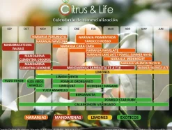 Hot Citrus & Life Pack de Cítricos Exóticos