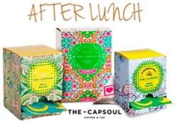 Pack de infusiones - After Lunch (pirámides)