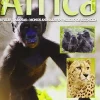 Pack África 2: Crias + Monos + Animales En Peligro De Extinción [DVD] [dvd] [2013]