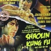 Clearance DVDTOTAL Pack Jackie Chan (El Puño Del Dragón - Shaolin Kung-Fu) [Italia] [DVD] [dvd] [2013]