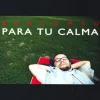 Para Tu Calma [audioCD]