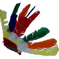 Penacho indio plumas