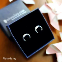 Pendientes Luna De Plata De Ley