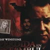 Online DVDTOTAL Perdida en Estambul [DVD] [dvd] [2008]