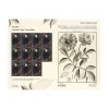 Best Pliego premium Antonio José Cavanilles | Serie Flora