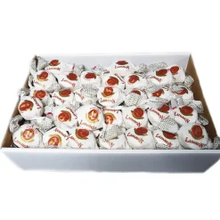 LAPASIÓN Polvorón de almendra 4Kg