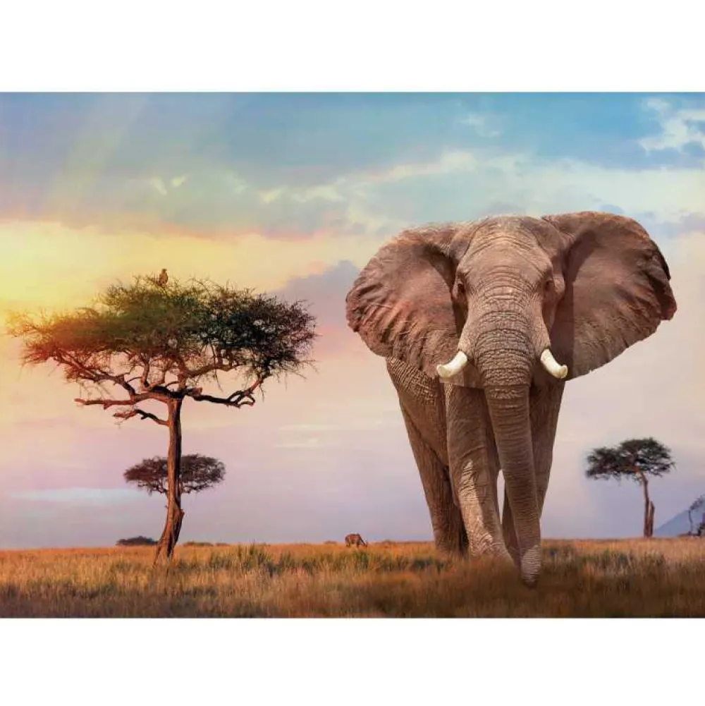 Clearance Clementoni Puzzle 500 piezas Paisaje Africano al Atardecer con Elefante