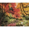 Outlet Clementoni Puzzle 1500 piezas Parque en Otoño