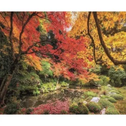 Outlet Clementoni Puzzle 1500 piezas Parque en Otoño