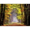 Discount Educa Borras Puzzle 1000 piezas Paseo Otoñal