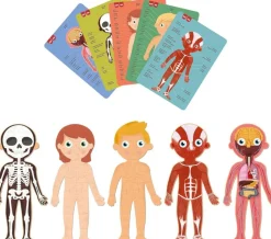 Sale Apli Puzzles del cuerpo humano