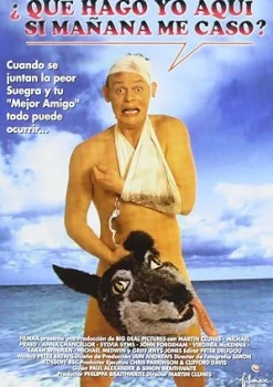 ¿Qué hago yo aquí si mañana me caso? [Reino Unido] [DVD] [dvd]