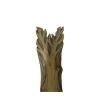 New Cousas de madeira Relieve árbol - Madera de castaño