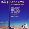 Slipstream [DVD] [dvd] [2013]