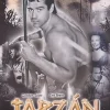 Tarzan y Sus Compañeros (1958) (Tarzan and the Trappers) [DVD] [dvd] [2016]