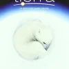 Tierra (Edición especial) [DVD] [dvd] [2013]