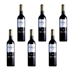 Tinto 2019, caja 6 botellas de 75 cl.