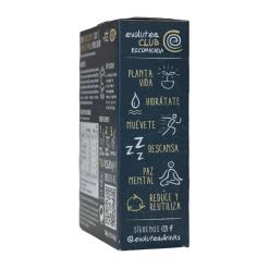 Té negro mango - 6 litros