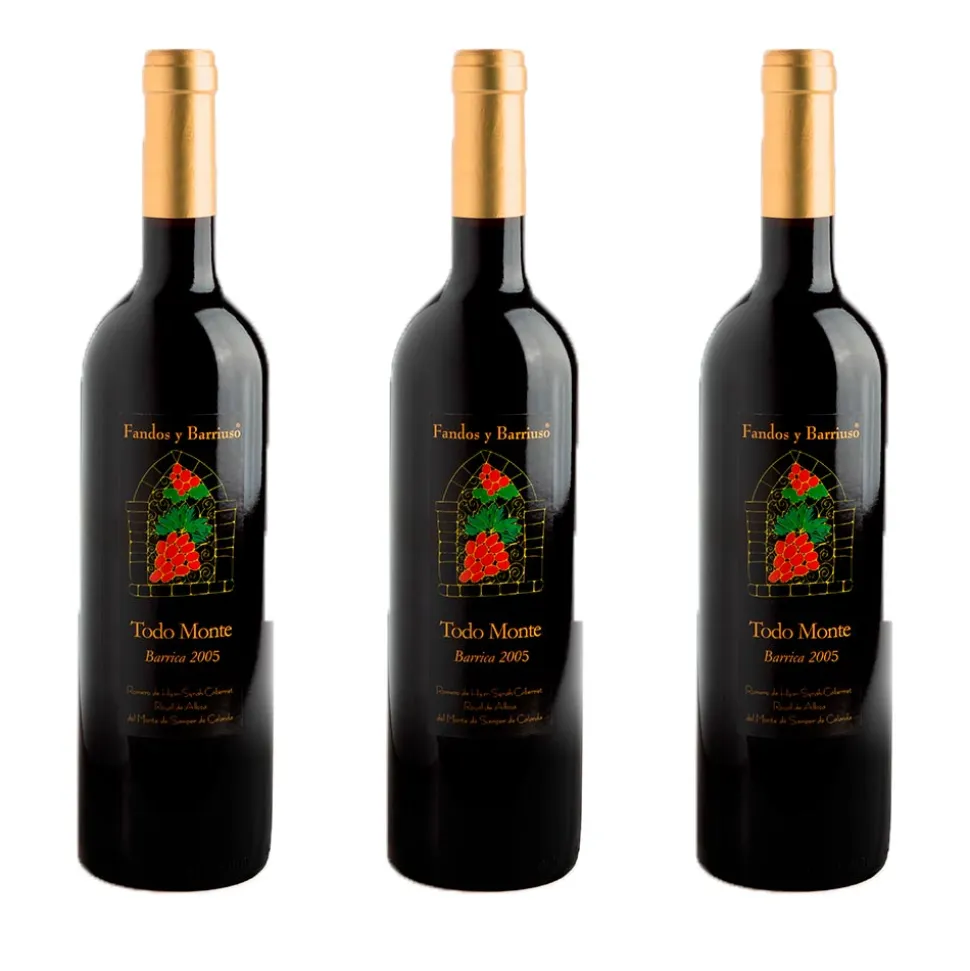 Todomonte Barrica Gran Reserva 2005 - Pack 3 botellas