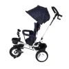 Triciclo Evolutivo Dotty