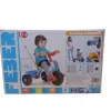 Triciclo Feber