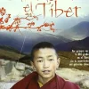 Outlet DVDTOTAL Un año en el Tibet [DVD] [dvd] [2008]